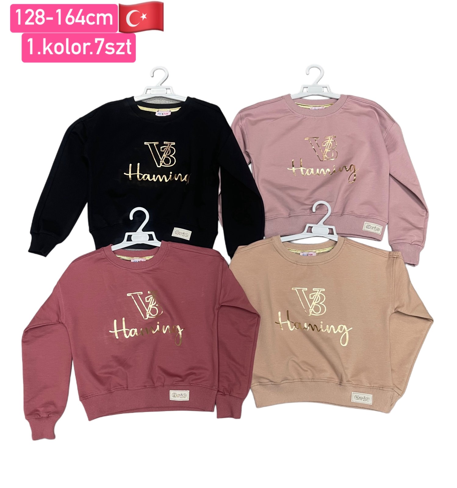 Bluza