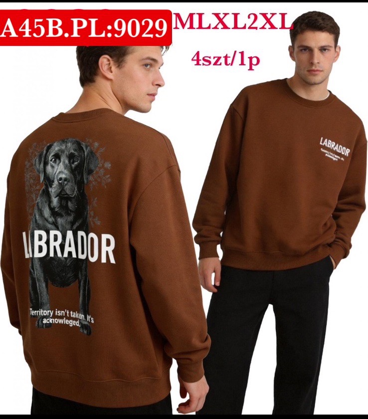 Bluza Męskie