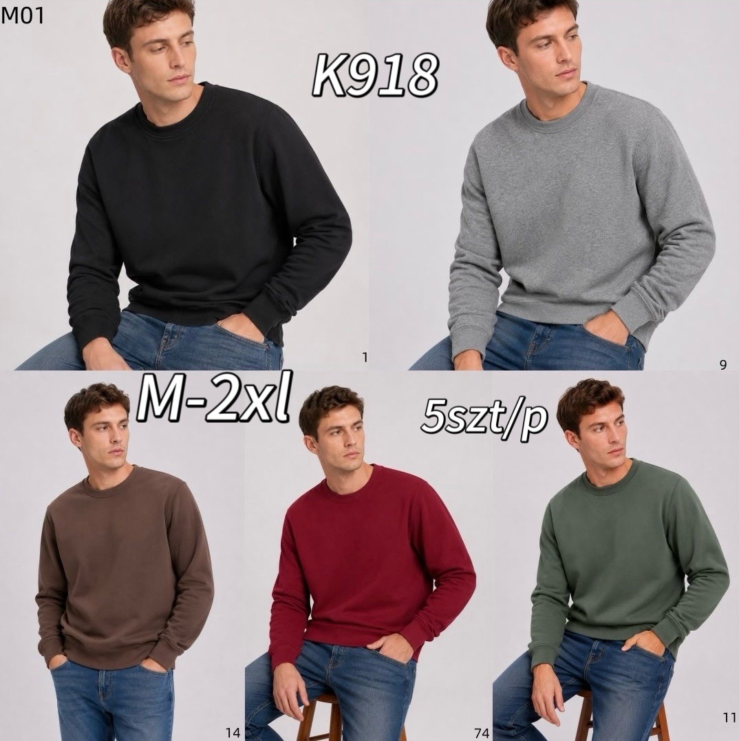 Bluza Męskie