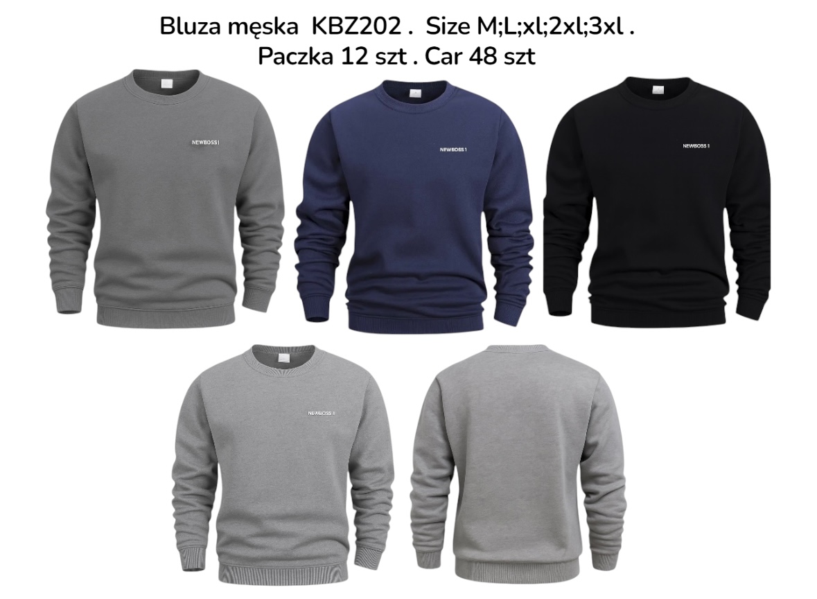 Bluza Męskie