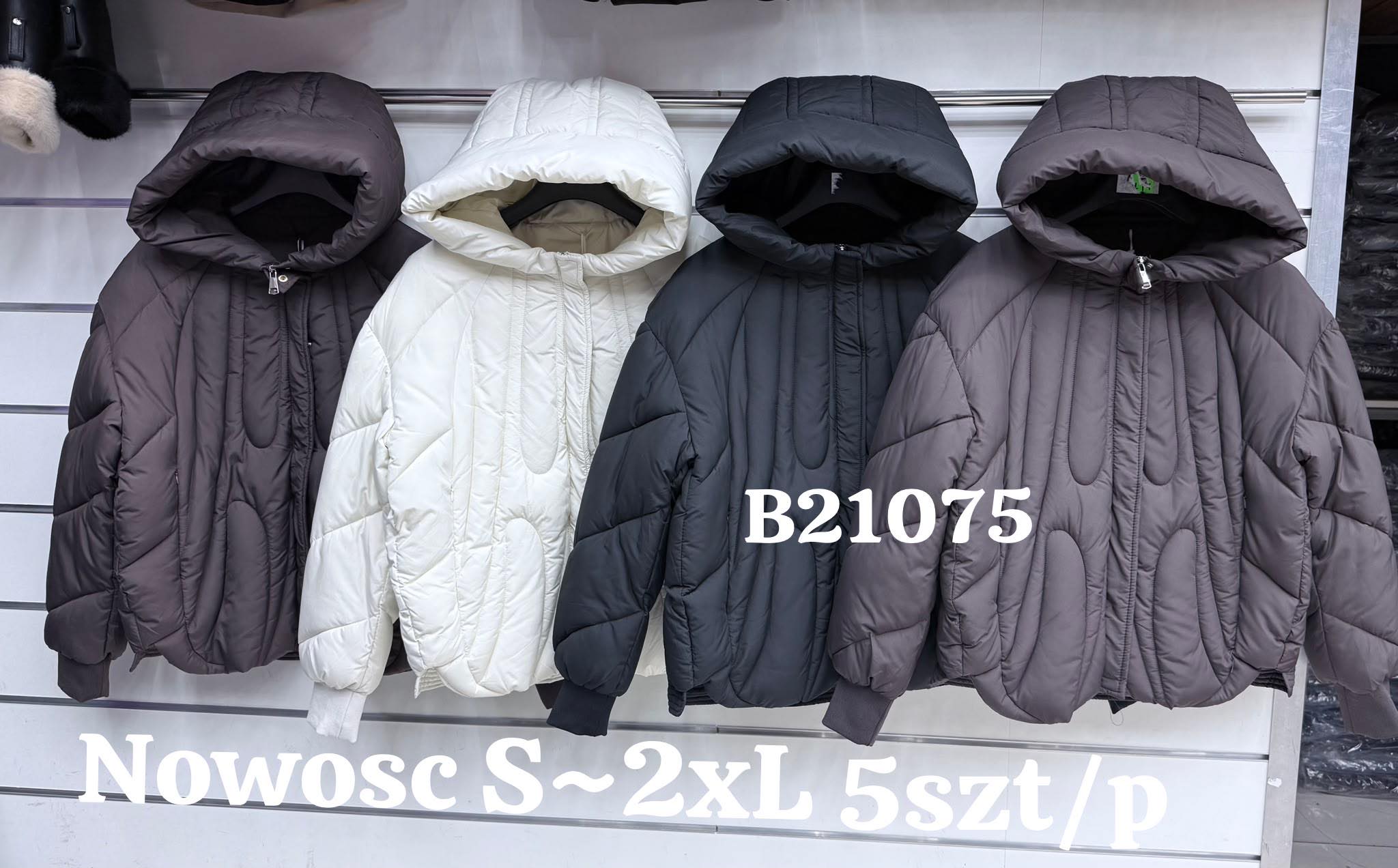 Kurtka Damska