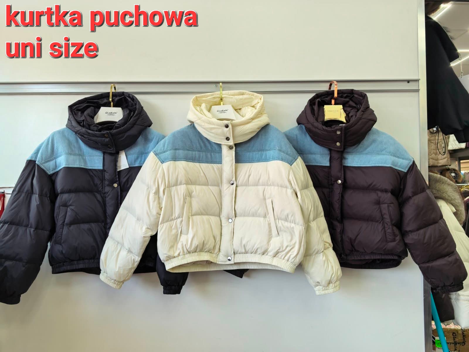 Kurtka Damska - Image 2